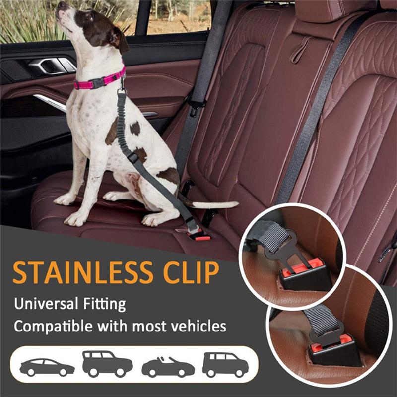 Avtoit | Adjustable Safety Belts for Dogs