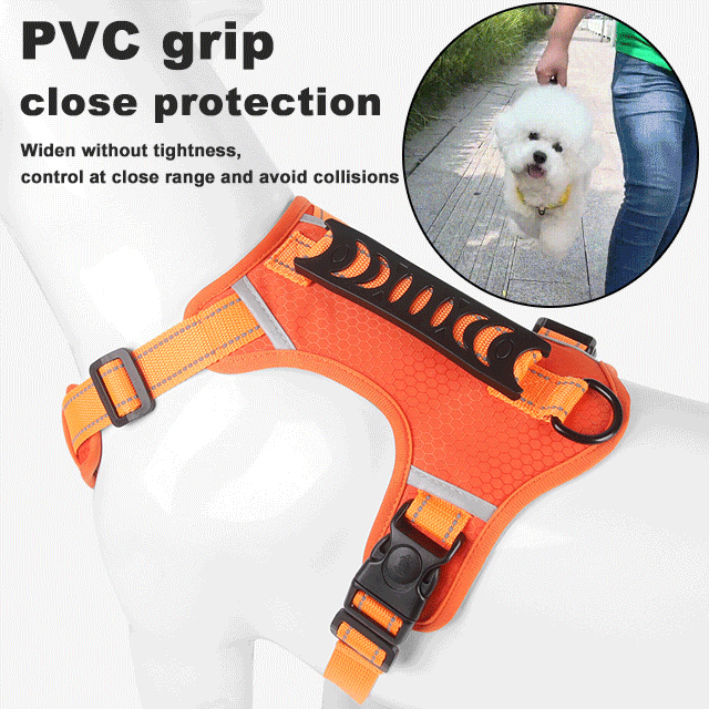 Avtoit | No Pull Dog Harness for Pets
