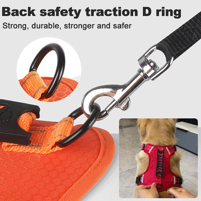 Avtoit | No Pull Dog Harness for Pets