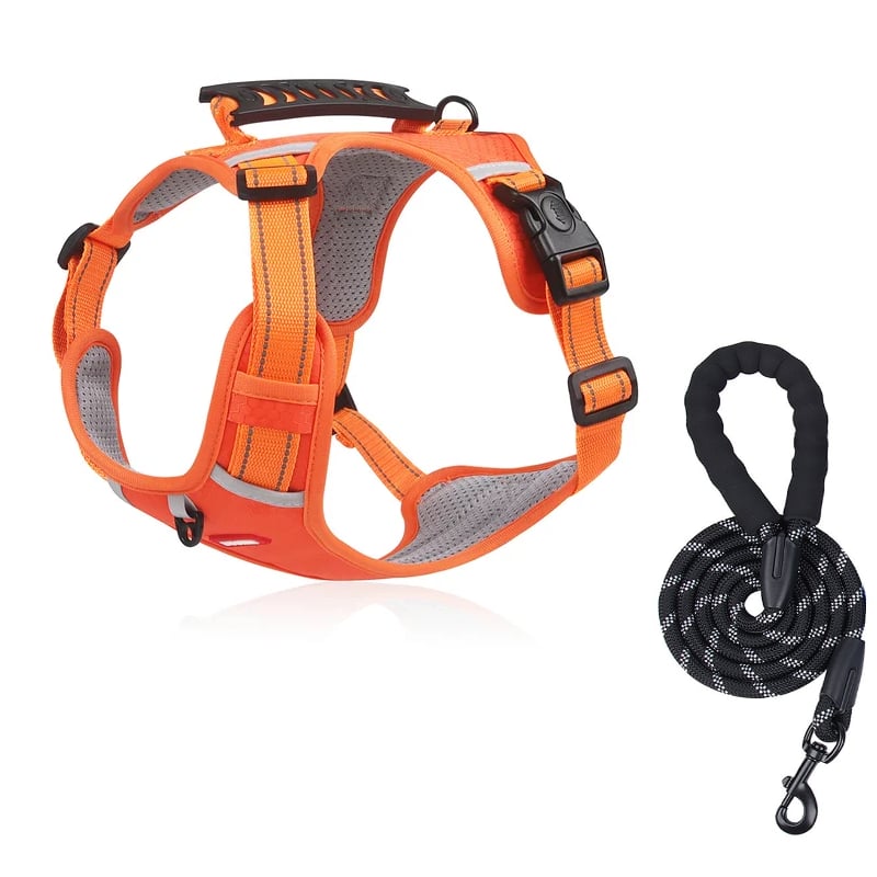 Avtoit | No Pull Dog Harness for Pets