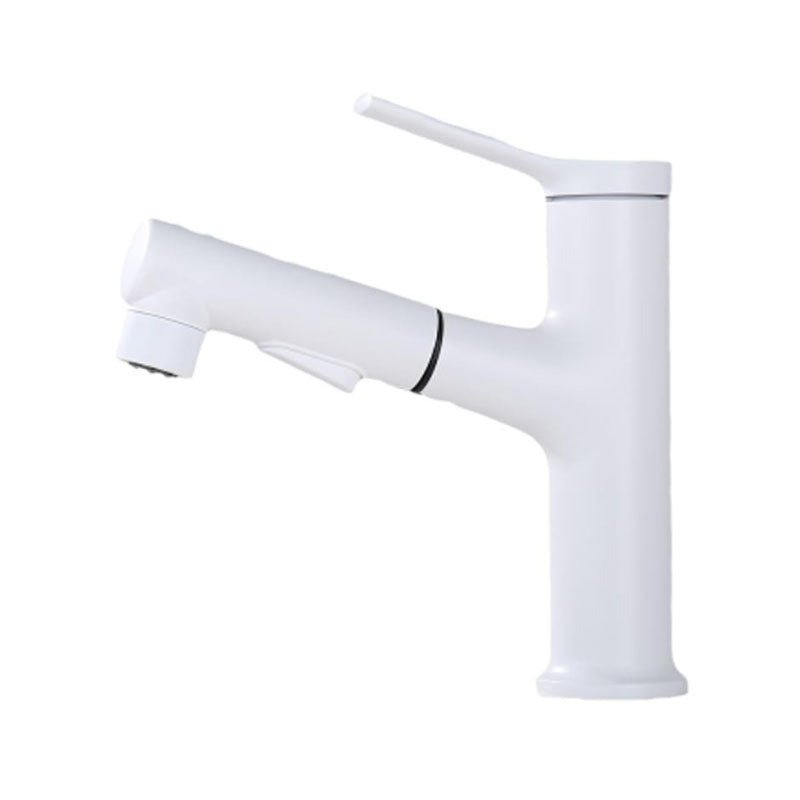 Avtoit | Contemporary Single Handle Faucet Retractable Sink Faucet with Lever Handle