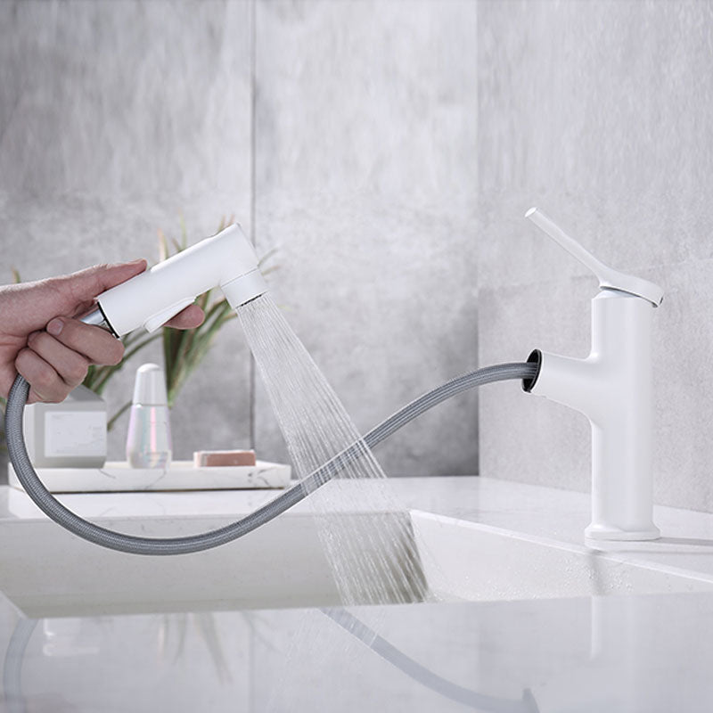 Avtoit | Contemporary Single Handle Faucet Retractable Sink Faucet with Lever Handle