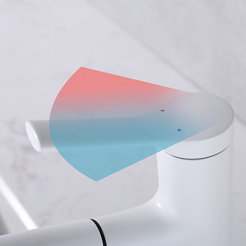 Avtoit | Contemporary Single Handle Faucet Retractable Sink Faucet with Lever Handle