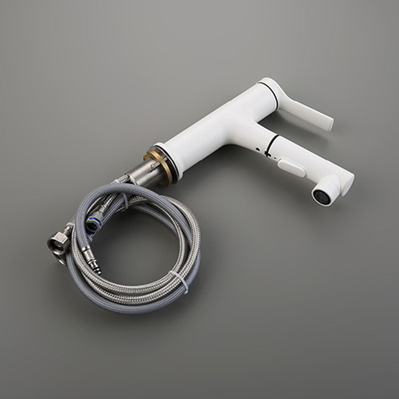 Avtoit | Contemporary Single Handle Faucet Retractable Sink Faucet with Lever Handle