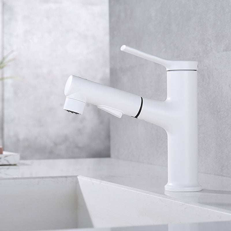 Avtoit | Contemporary Single Handle Faucet Retractable Sink Faucet with Lever Handle
