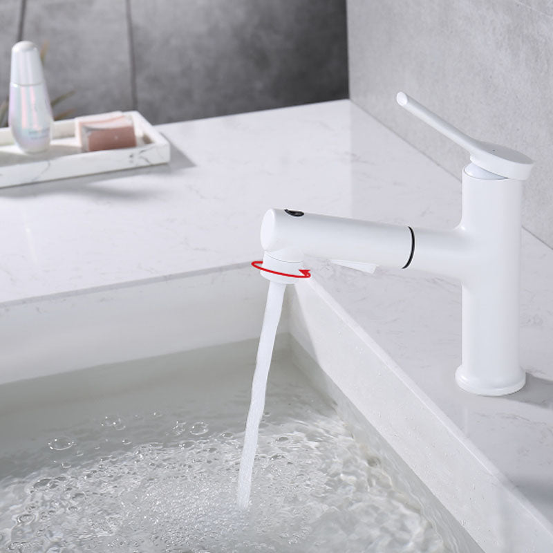 Avtoit | Contemporary Single Handle Faucet Retractable Sink Faucet with Lever Handle