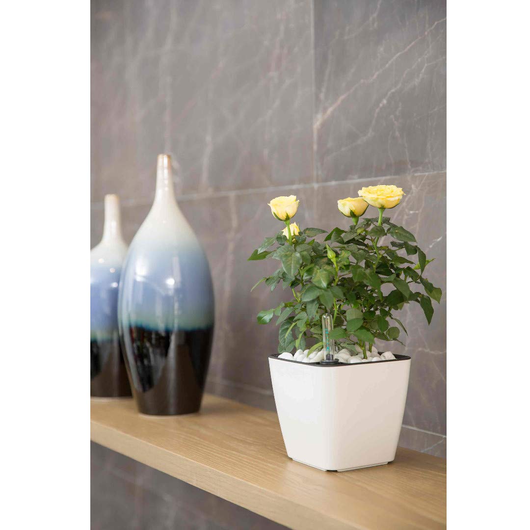 Avtoit | Flower pot with irrigation system – Self-watering plant pot for indoor and outdoor use