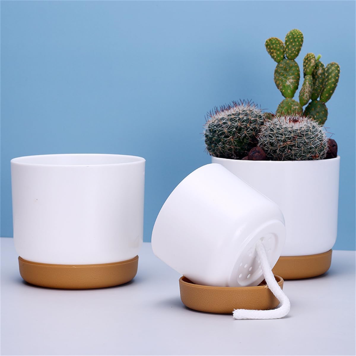 Avtoit | Self-watering flower pot for orchids and plants – Plastic plant container