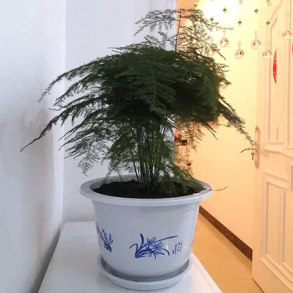 Avtoit | Plastic flower pot with bamboo motif – Elegant planter for balcony and garden