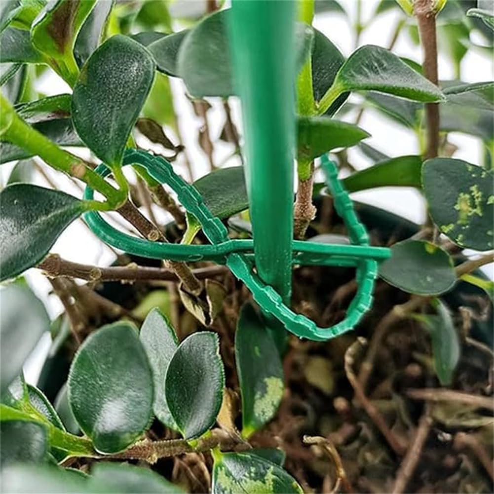 Avtoit | Plant fastening cable tie set for stable securing of plants