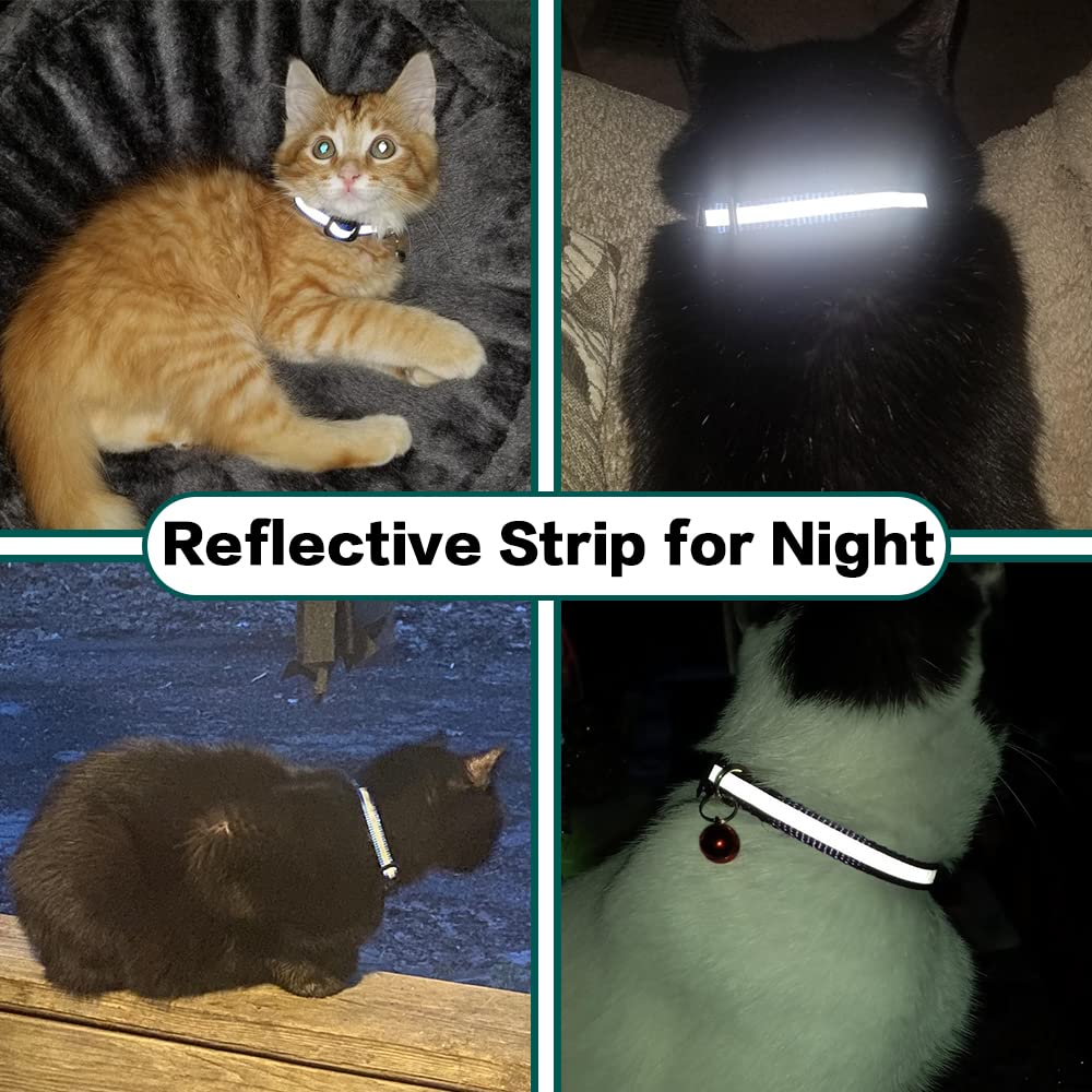 Avtoit | Stay Connected: pet locator collar