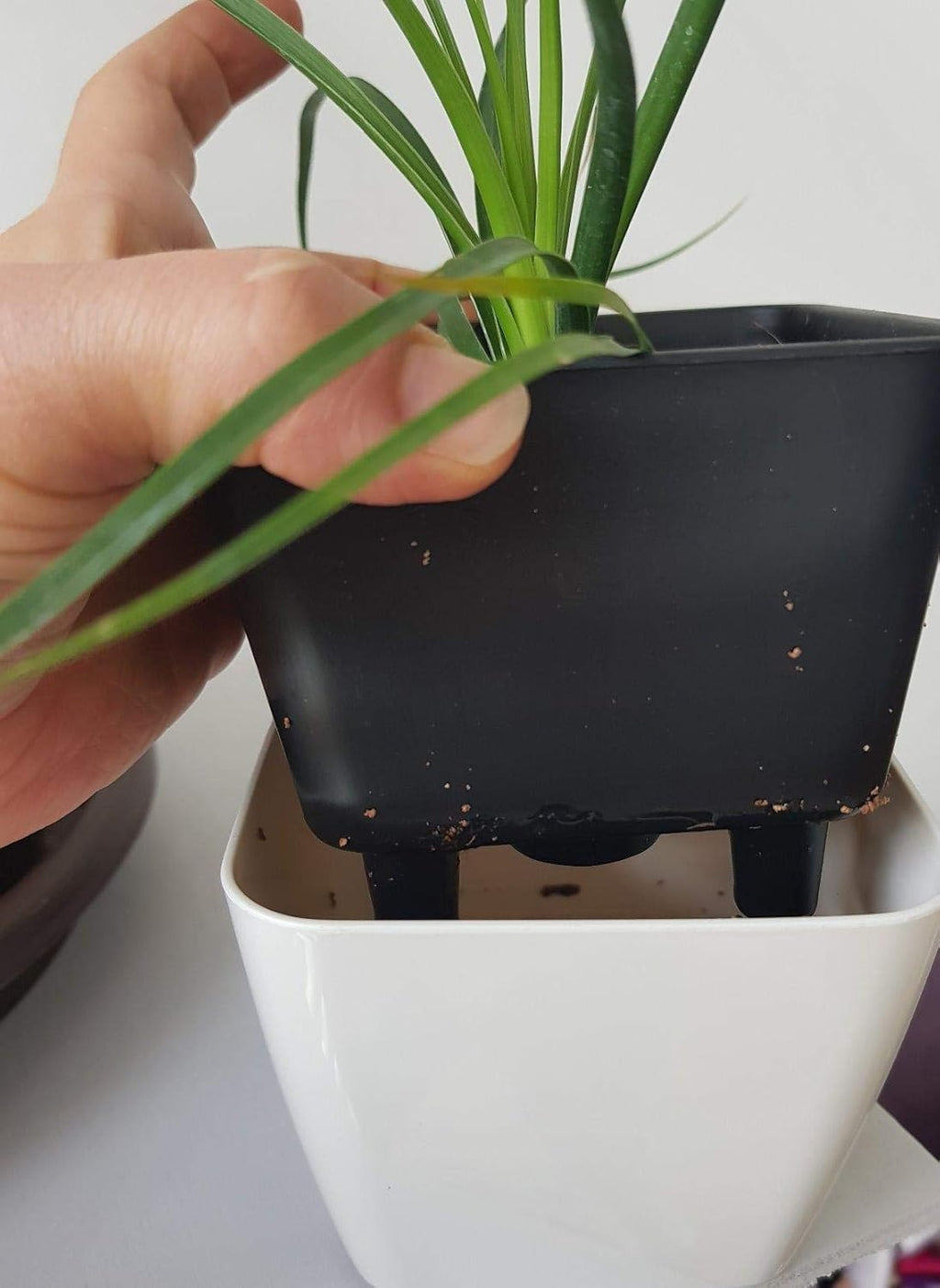 Avtoit | Flower pot with irrigation system – Self-watering plant pot for indoor and outdoor use