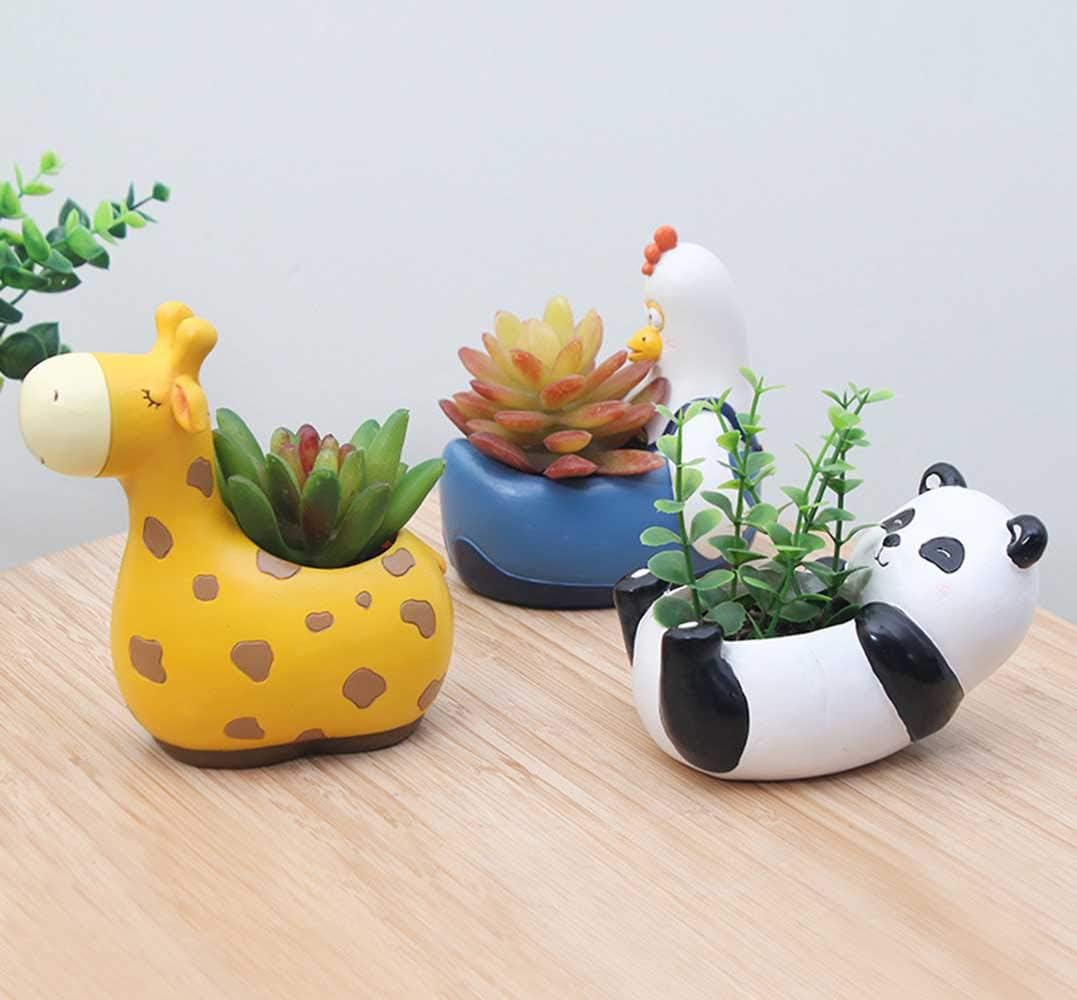 Avtoit | Animal Plant Pots – Funny Animal Designs for Succulents and Cacti