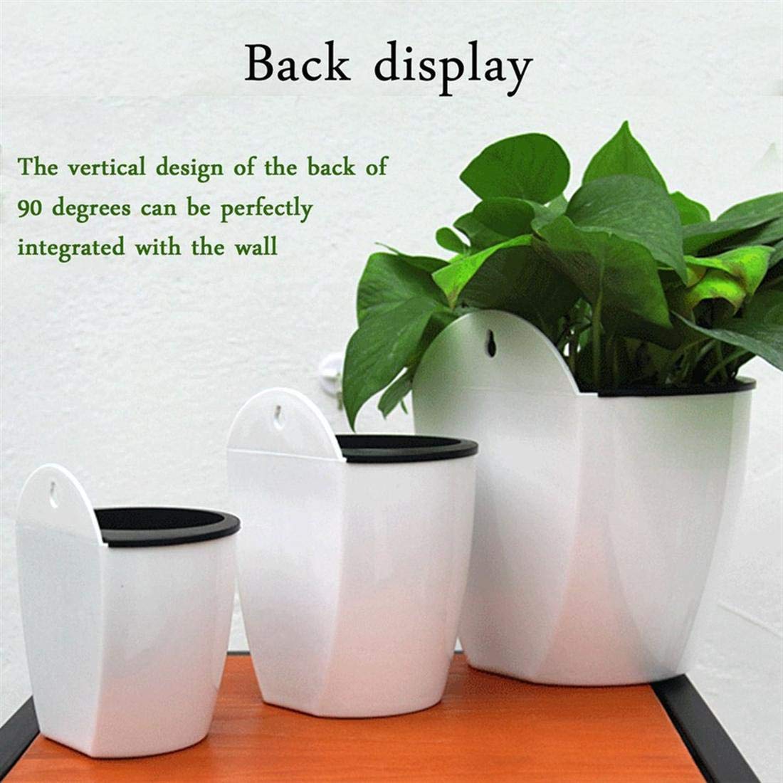 Avtoit | Self-watering hanging plant pot – Modern flower pot for wall mounting
