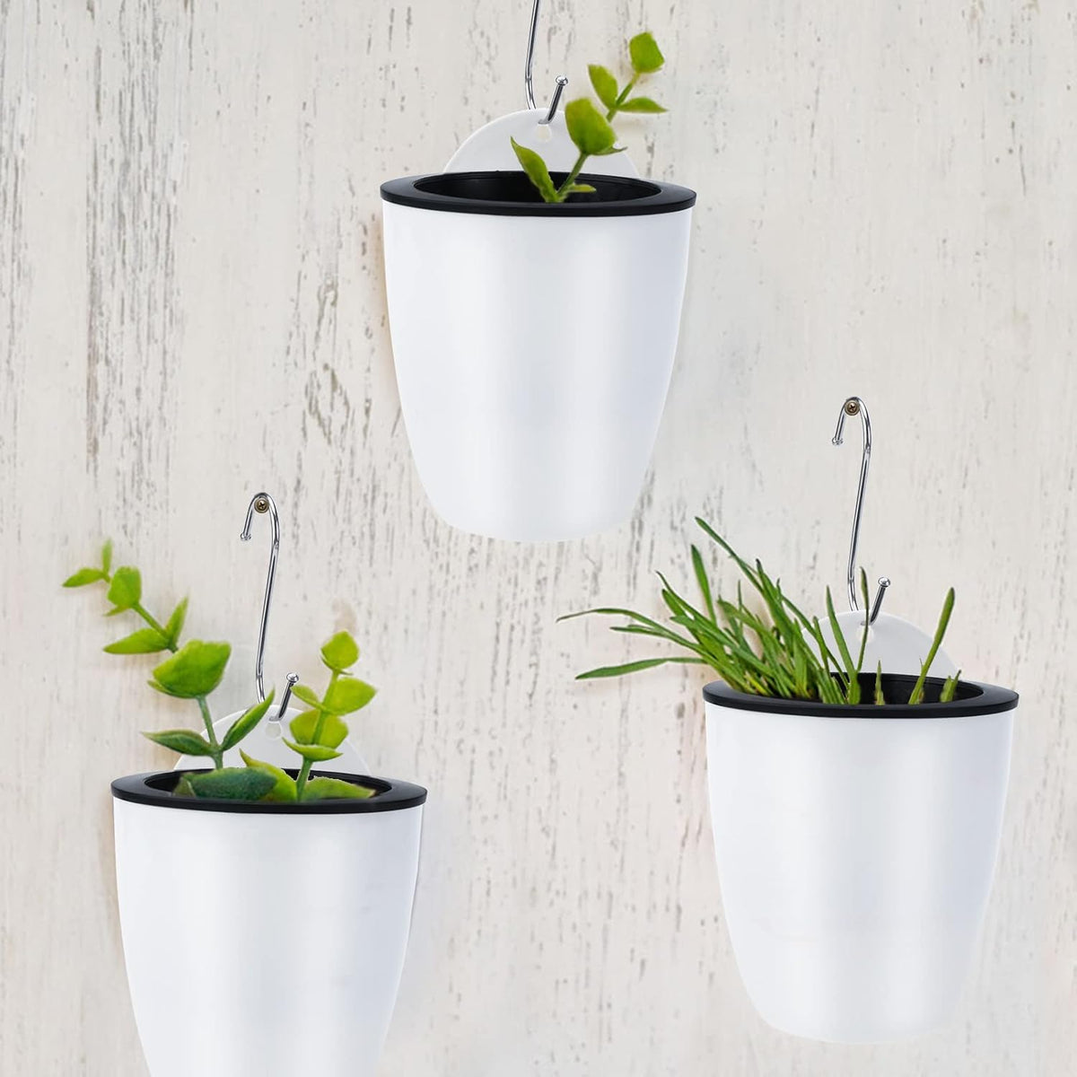 Avtoit | Self-watering hanging plant pot – Modern flower pot for wall mounting