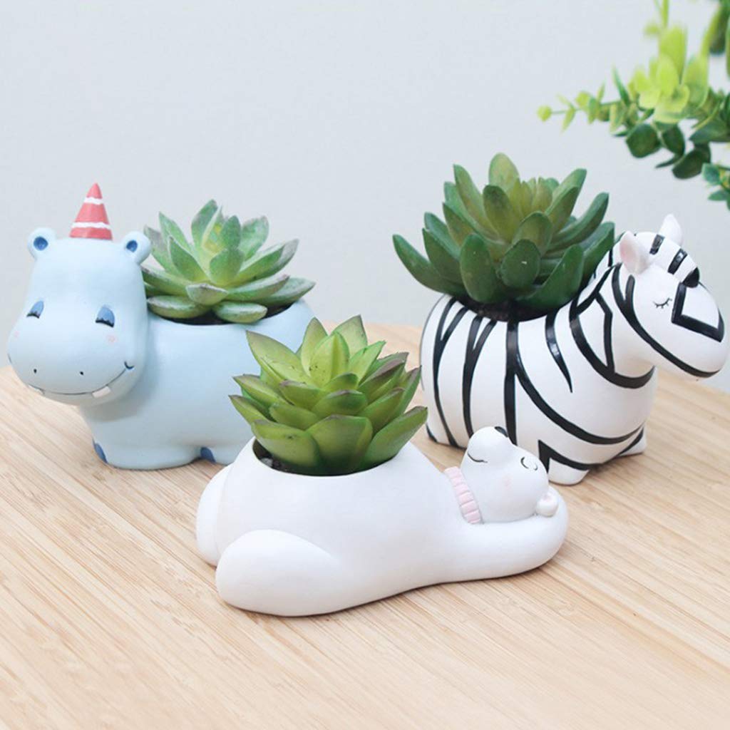 Avtoit | Animal Plant Pots – Funny Animal Designs for Succulents and Cacti