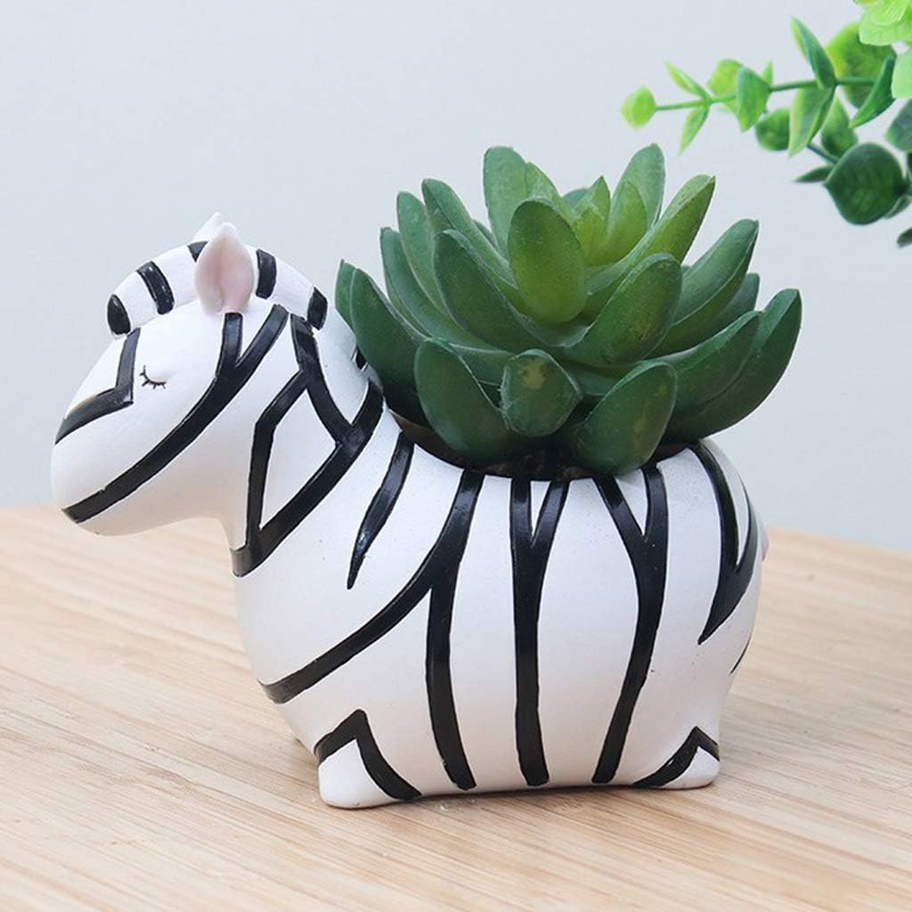 Avtoit | Animal Plant Pots – Funny Animal Designs for Succulents and Cacti