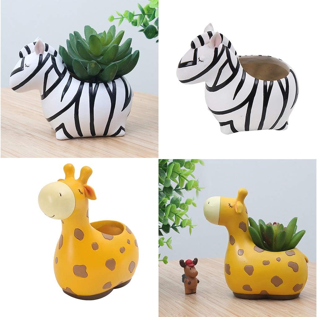Avtoit | Animal Plant Pots – Funny Animal Designs for Succulents and Cacti
