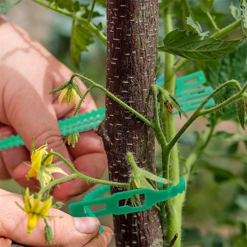 Avtoit | Plant fastening cable tie set for stable securing of plants