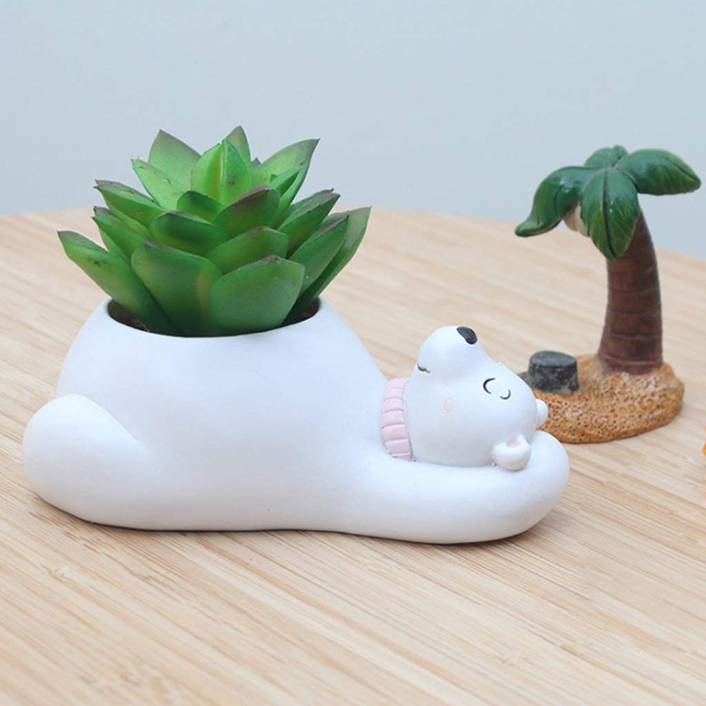 Avtoit | Animal Plant Pots – Funny Animal Designs for Succulents and Cacti