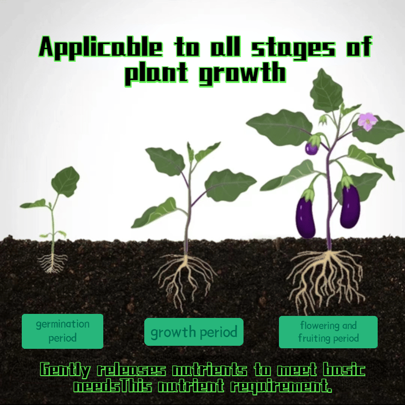 Avtoit | Plant fertilizer sticks – Long lasting fertilizer for healthy growth