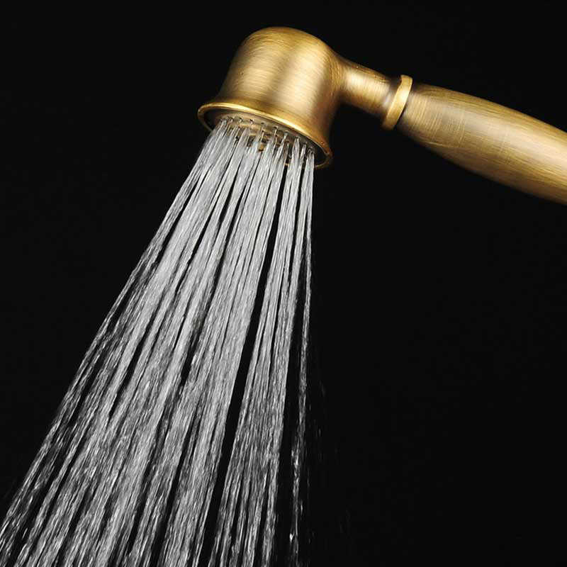 Avtoit | Traditional Handheld Shower Head with Hose Polished Brass Wall Mounted Shower Head