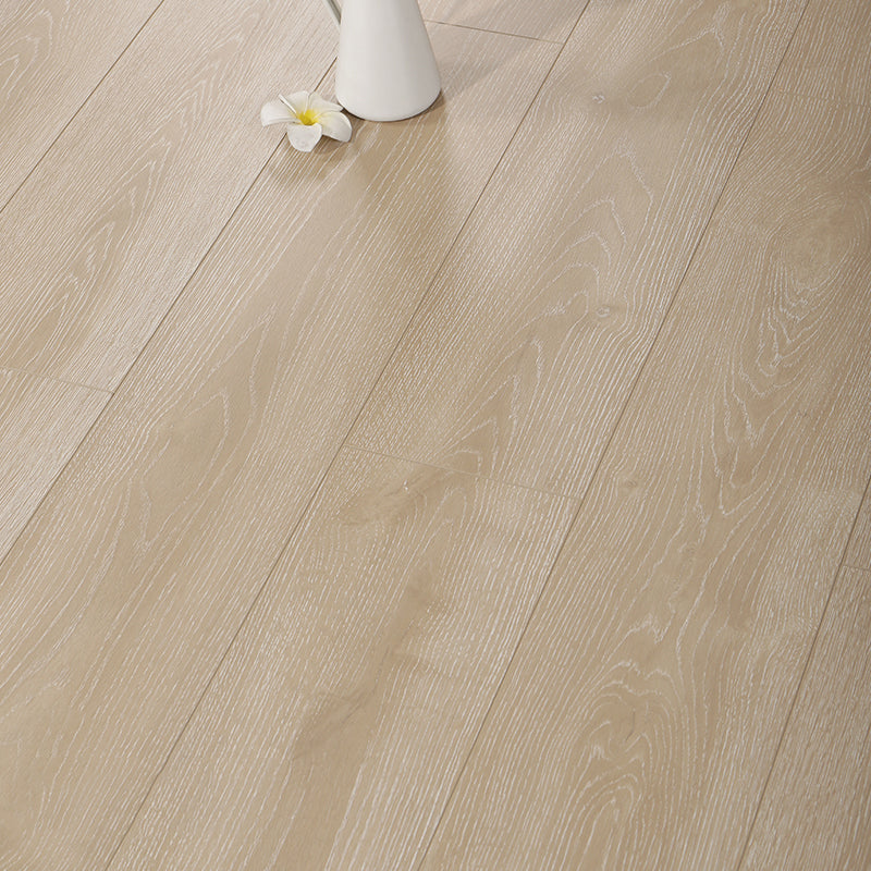Avtoit | Contemporary Laminate Floor Light Color Wood Laminate Floor