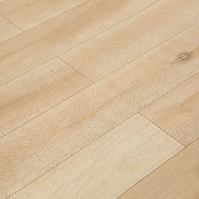 Avtoit | Contemporary Laminate Floor Light Color Wood Laminate Floor