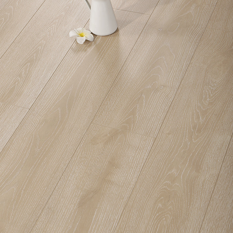 Avtoit | Contemporary Laminate Floor Light Color Wood Laminate Floor
