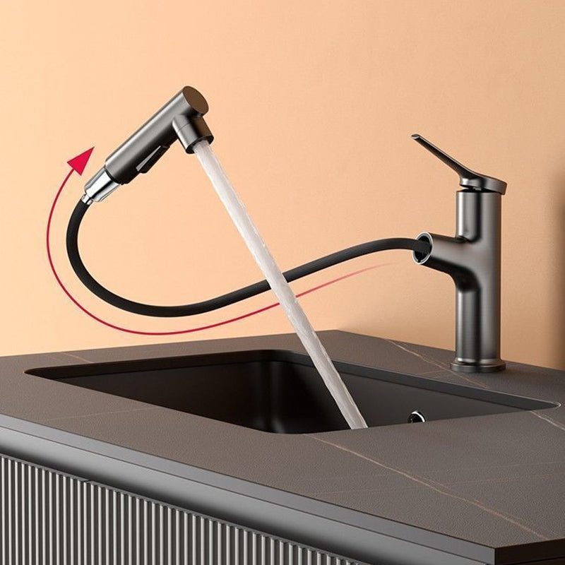 Avtoit | Contemporary Style Faucet Single Lever Mixer with Swivel Spout