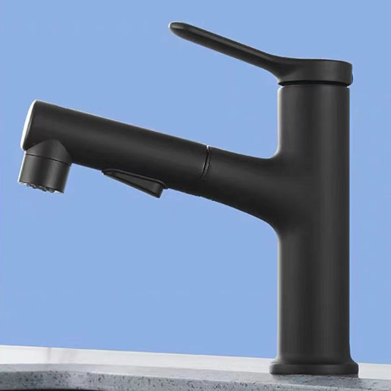 Avtoit | Contemporary Style Faucet Single Lever Mixer with Swivel Spout