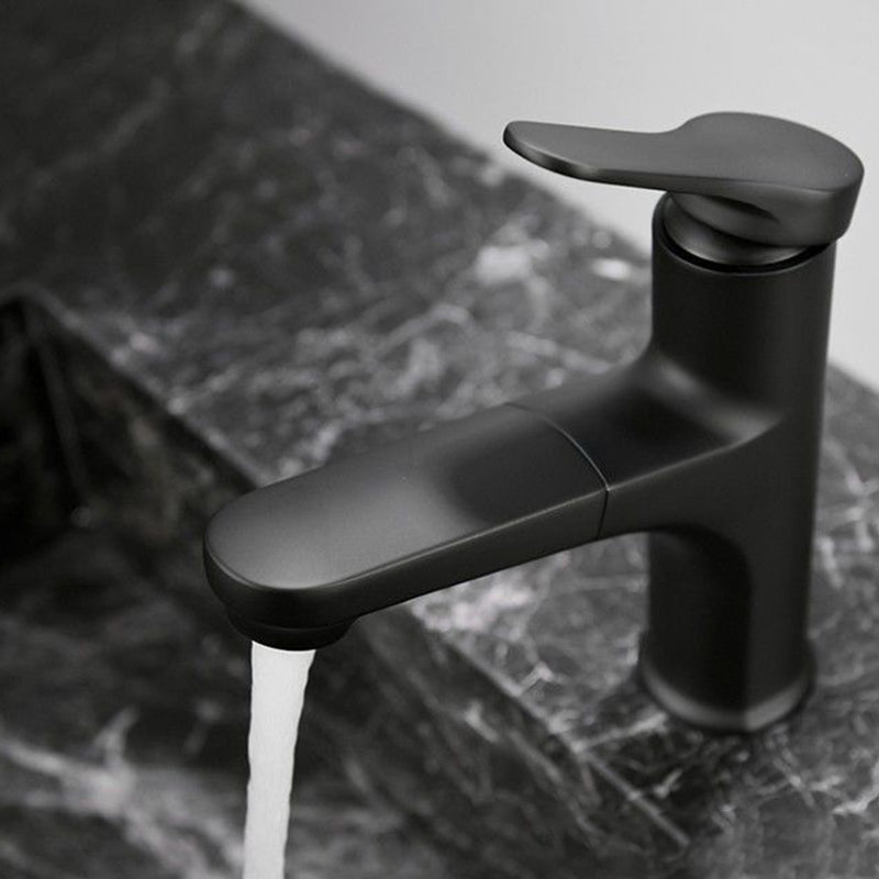 Avtoit | Contemporary Style Faucet Single Lever Mixer with Swivel Spout
