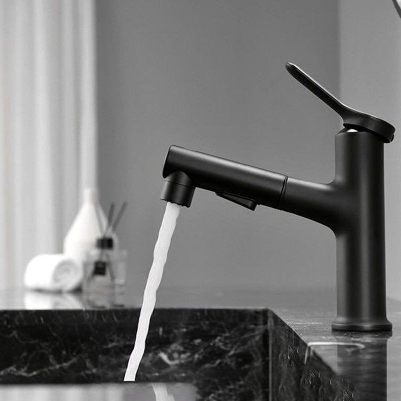 Avtoit | Contemporary Style Faucet Single Lever Mixer with Swivel Spout