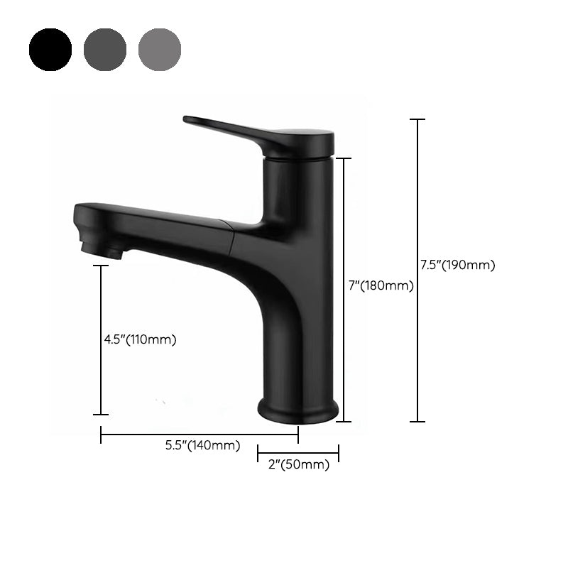 Avtoit | Contemporary Style Faucet Single Lever Mixer with Swivel Spout