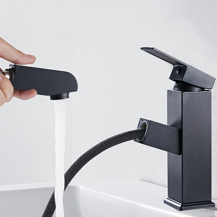 Avtoit | Contemporary Style Faucets Single Handle Swivel Spout Faucets