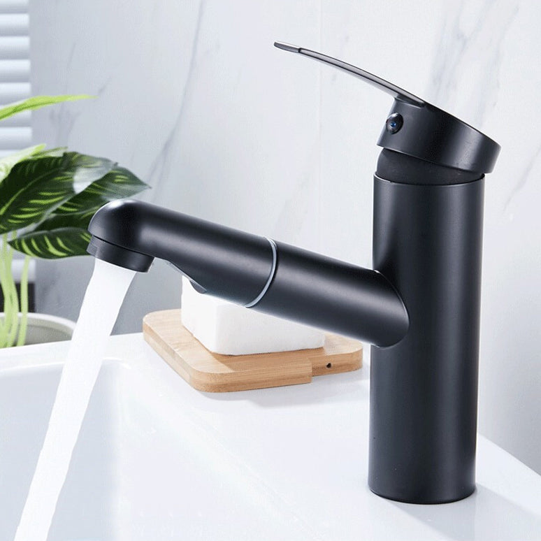 Avtoit | Contemporary Style Faucets Single Handle Swivel Spout Faucets