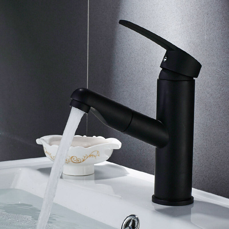 Avtoit | Contemporary Style Faucets Single Handle Swivel Spout Faucets