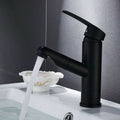 Avtoit | Contemporary Style Faucets Single Handle Swivel Spout Faucets