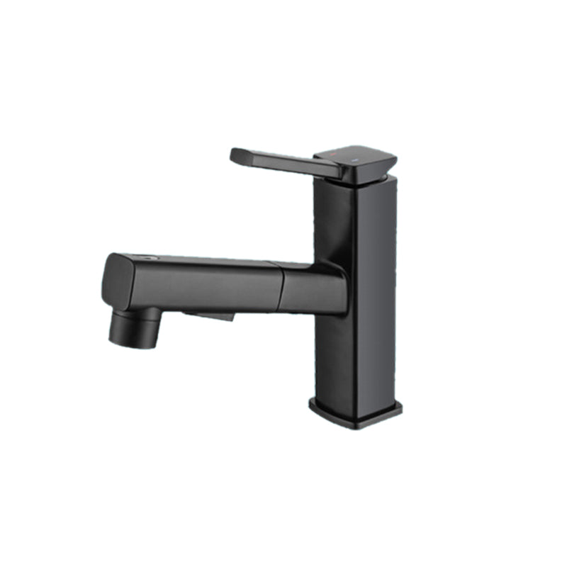 Avtoit | Lever Handle Faucet Pull-Out Basin Faucet with Swivel Spout