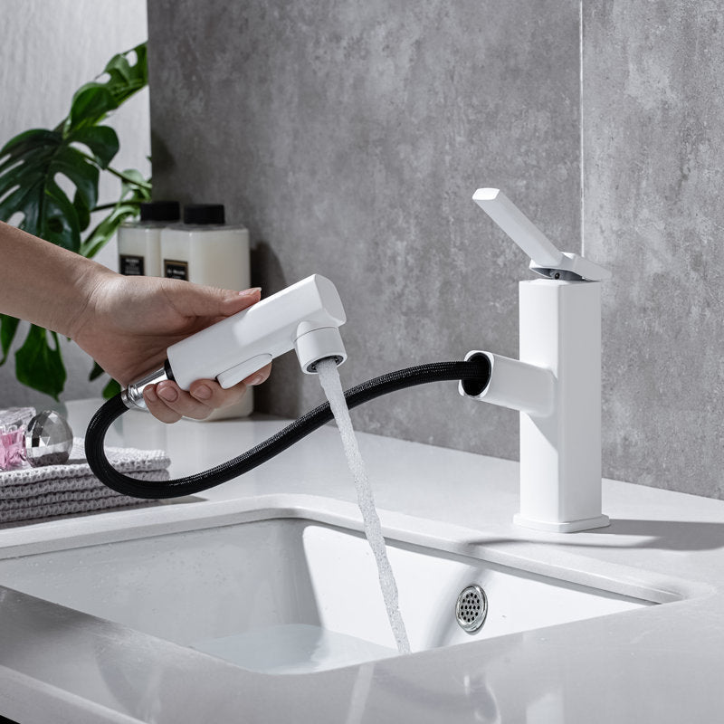 Avtoit | Lever Handle Faucet Pull-Out Basin Faucet with Swivel Spout