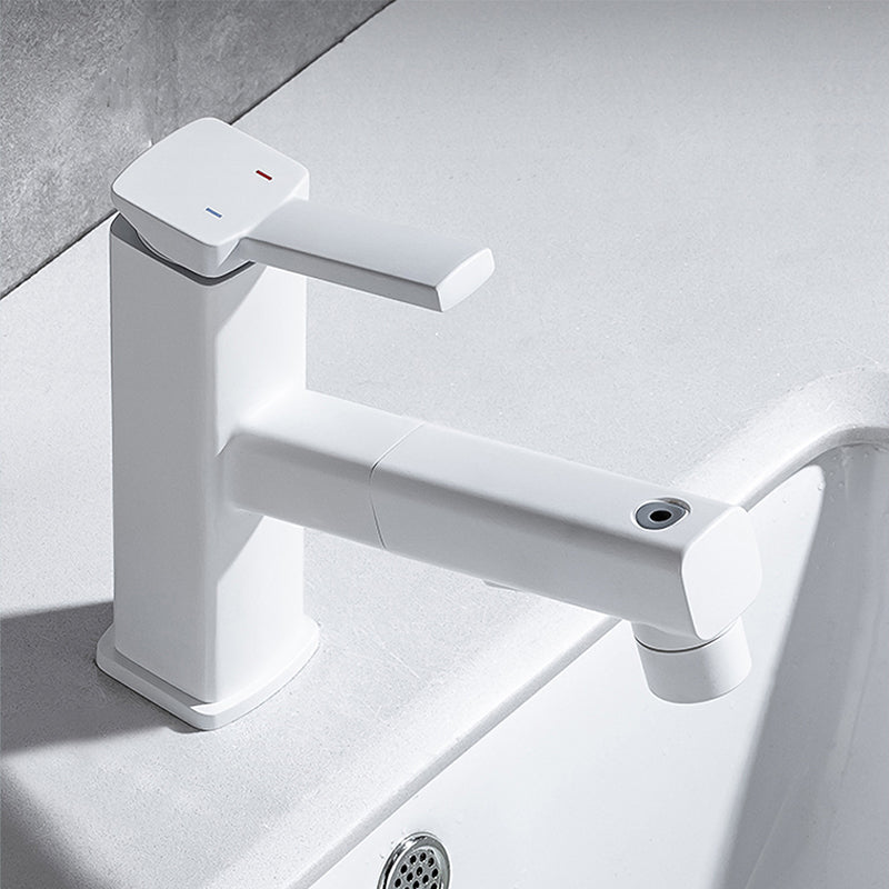 Avtoit | Lever Handle Faucet Pull-Out Basin Faucet with Swivel Spout