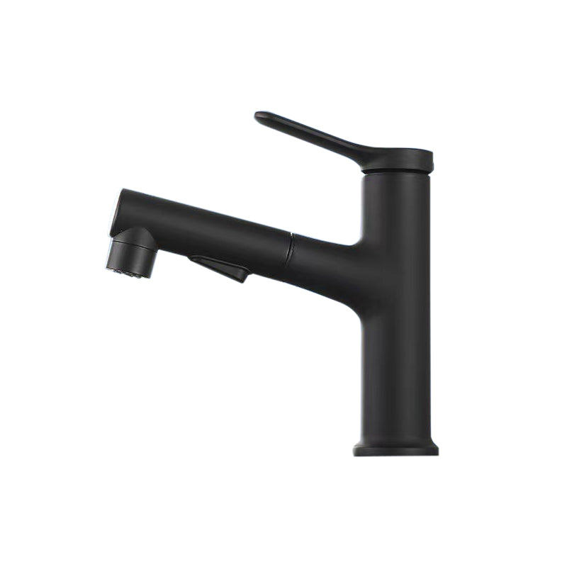 Avtoit | Vessel Sink Faucet Contemporary Pull-out Tap with Swivel Spout
