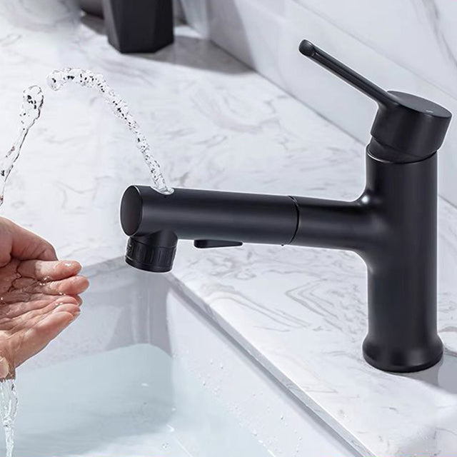 Avtoit | Contemporary Sink Faucet Simple Low Arc Copper Sink Faucet