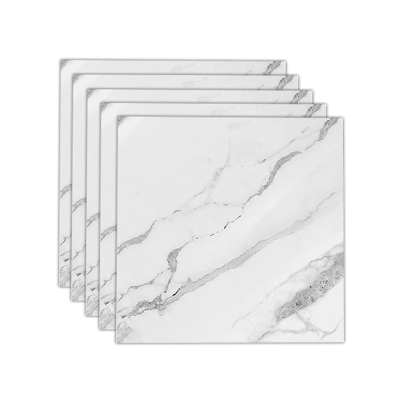 Avtoit | Multi-Tonal Style Vinyl Plank Peel and Stick Porcelain Tile Look Vinyl Plank Flooring
