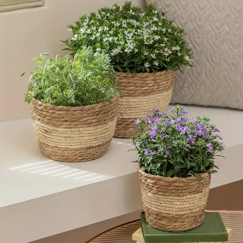 Avtoit | Decorative plant baskets made of seagrass in a set of 3 – Handwoven flower pots with foil insert