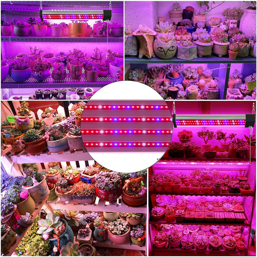 Avtoit | LED plant lamp with full spectrum lighting and pull switch for optimal plant growth