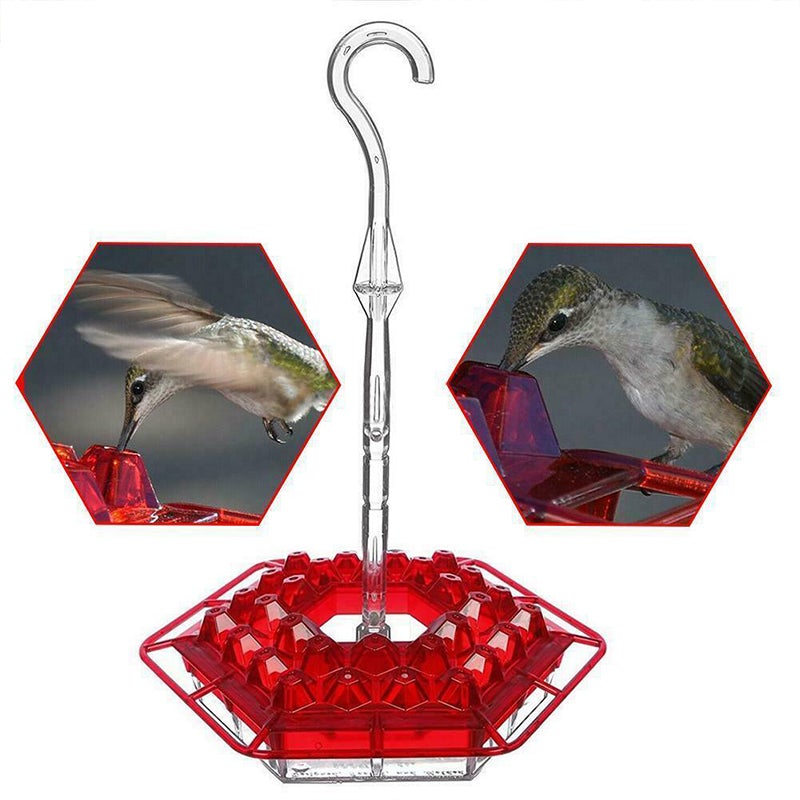 Avtoit | New Hummingbird Feeder