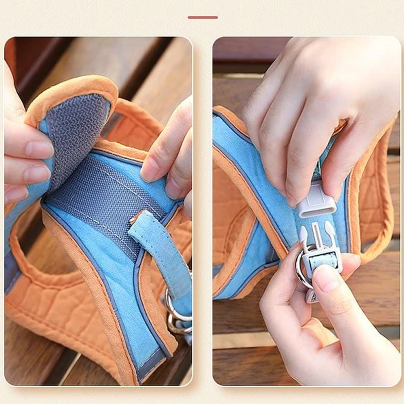 Avtoit | Cat Vest Harness and Leash Set