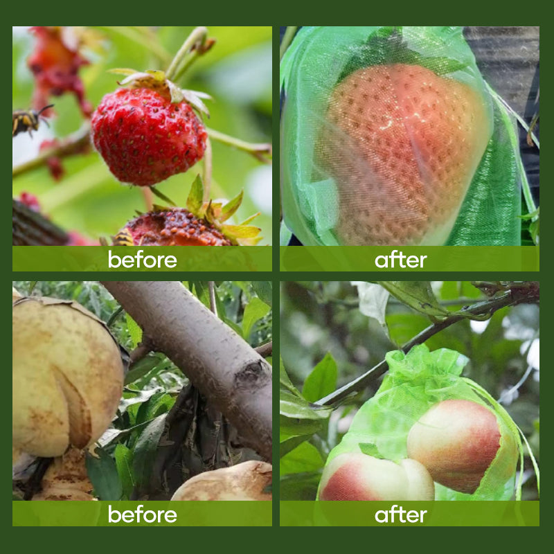Avtoit | Fruit Protection Bag (100 PCS)