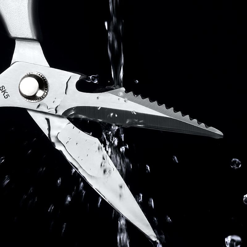 Avtoit | Stainless Steel Kitchen Scissors